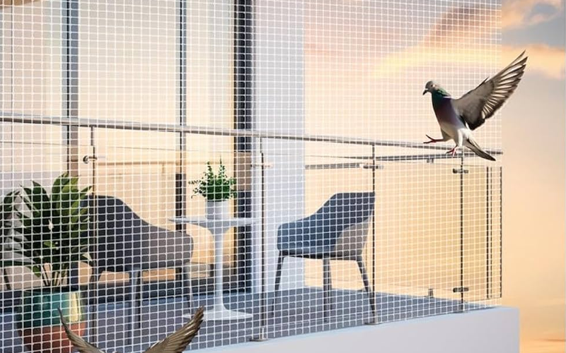Bird Net